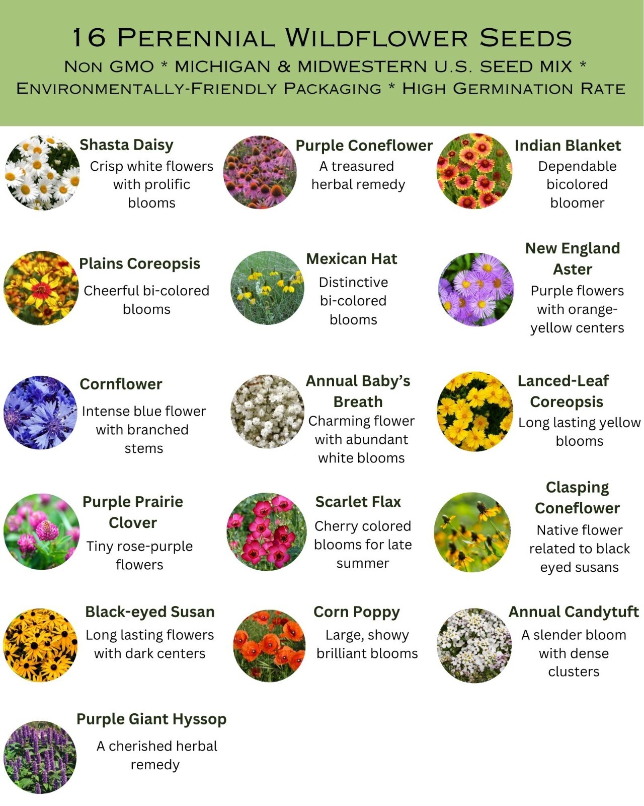 1/4LB Michigan Bulk Wildflower Seed Mix 1lb Covers 2,000sq-ft