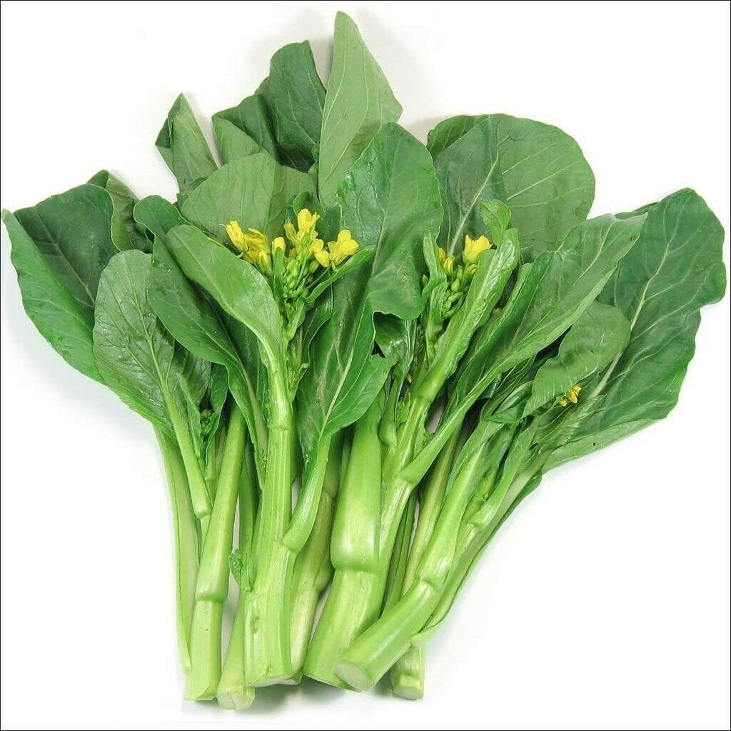 2000+ Seeds Brassica Juncea Choy Sum Mustard Yu Choy Sum Seeds, USA Chinese Broc
