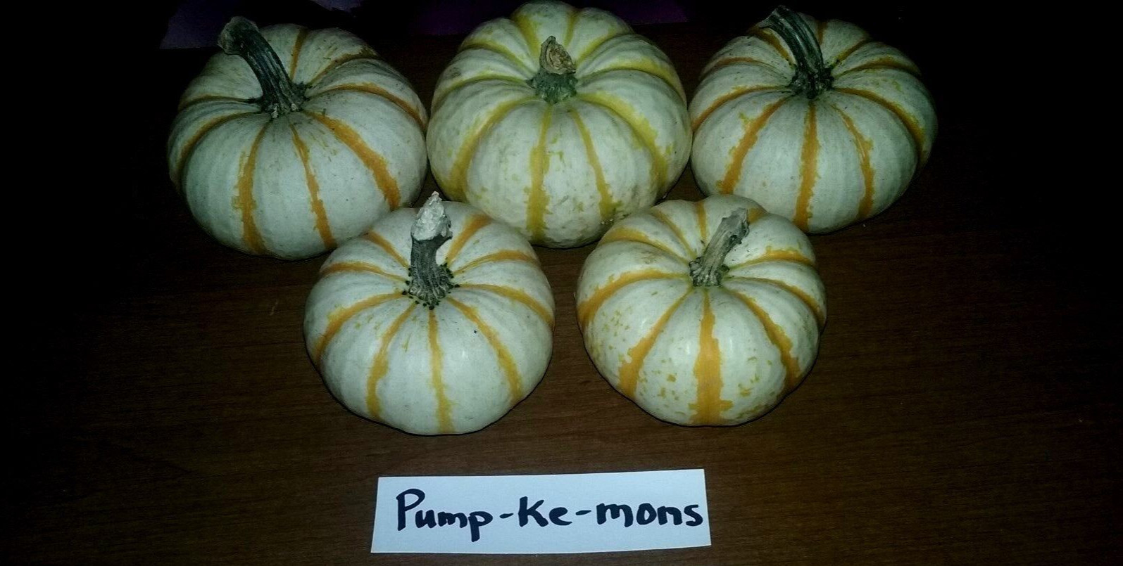 Pump-ke-mons Pumpkin Seeds- COMB. S/H- SEE MY STORE