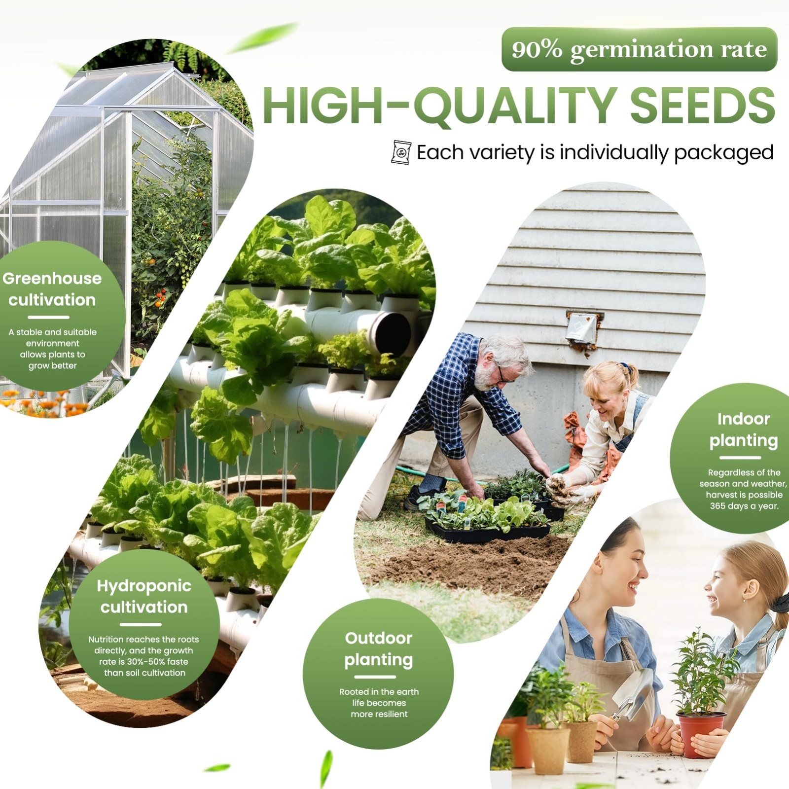 36 Vegetable Variety Pack – 17,600+ Non-GMO Heirloom Seeds for Indoor/Outdoor Ga