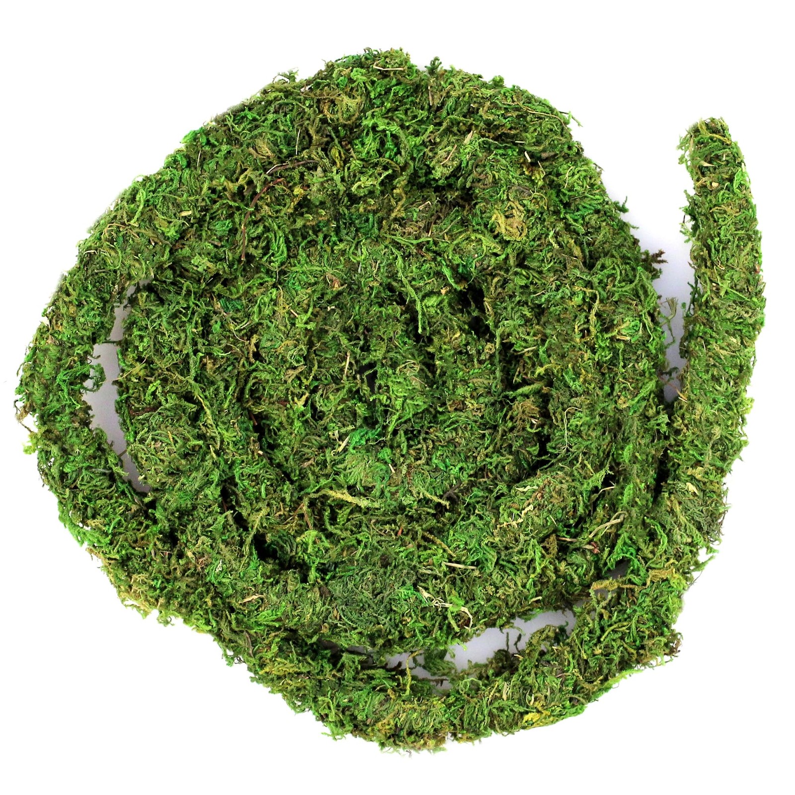 Galápagos (05266) MossVine, Real Moss Vine, 12FT, Green 12 FT,