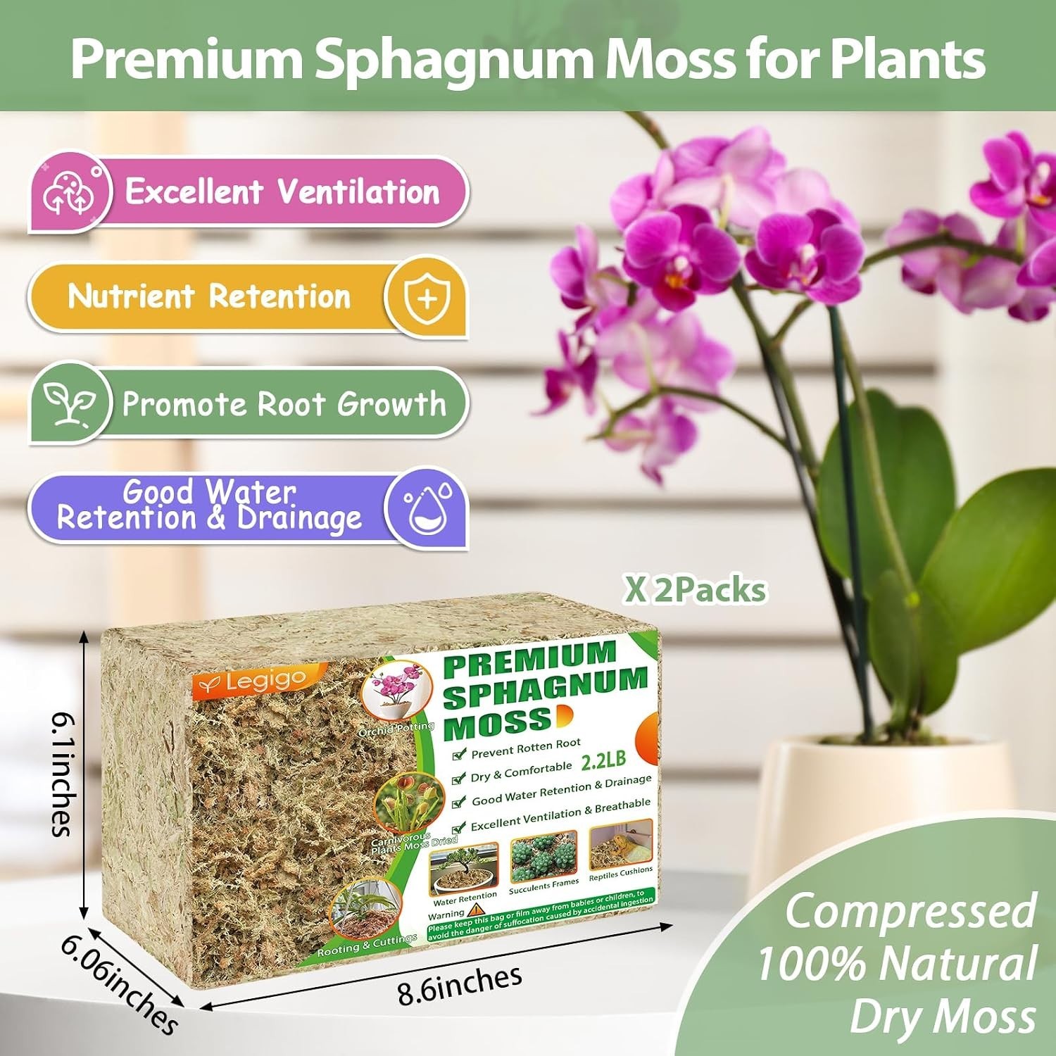 Natural Sphagnum Moss for Plants – 4.4lbs
