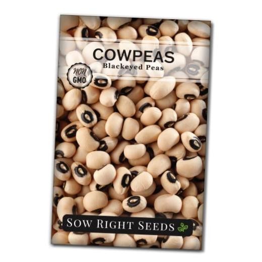 – Black Eyed Cowpea Seeds for Planting – Non-GMO Heirloom 1 Standard Packet