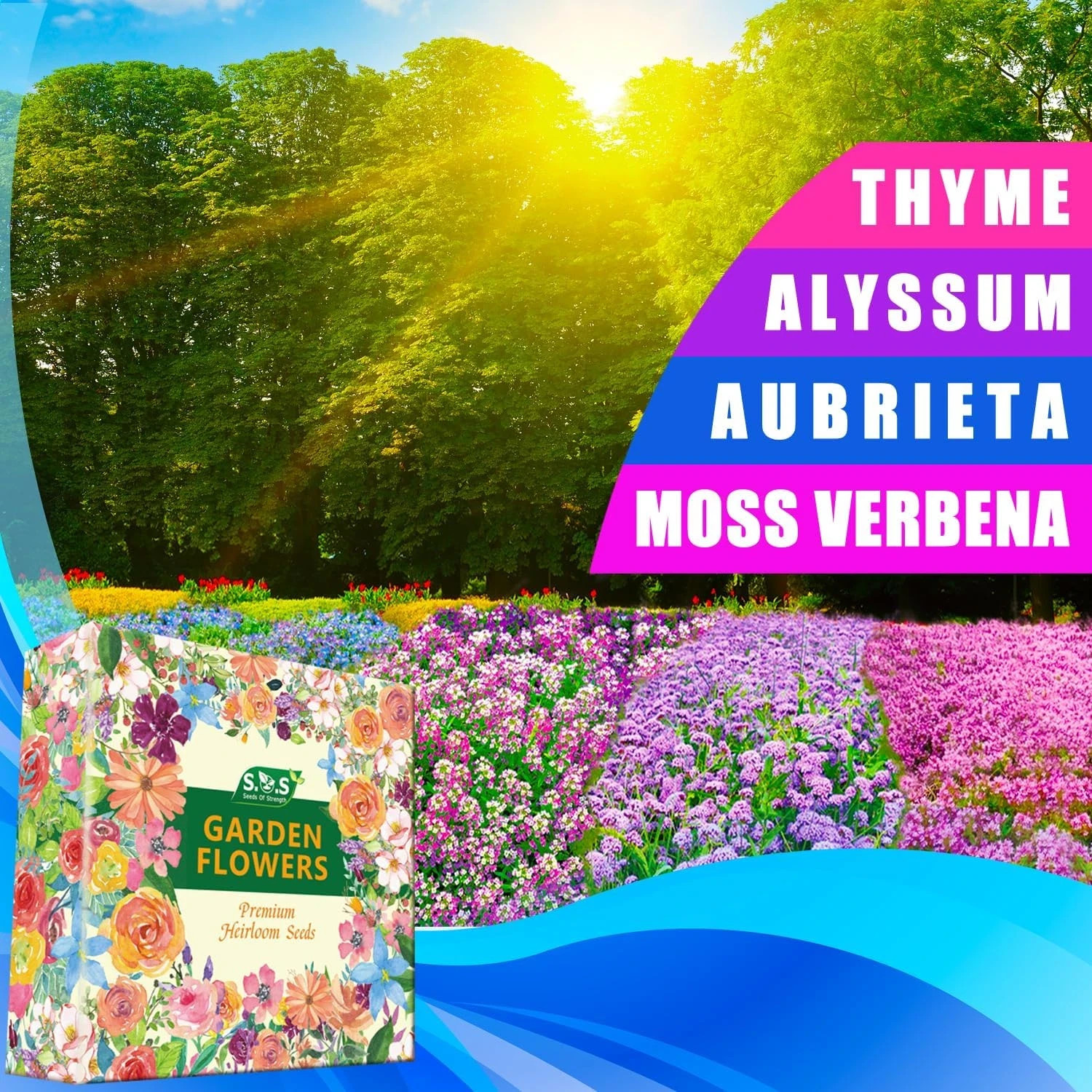 Ground Cover Plant Collection – 31,000+ Mix of Creeping Thyme, Alyssum, Purple