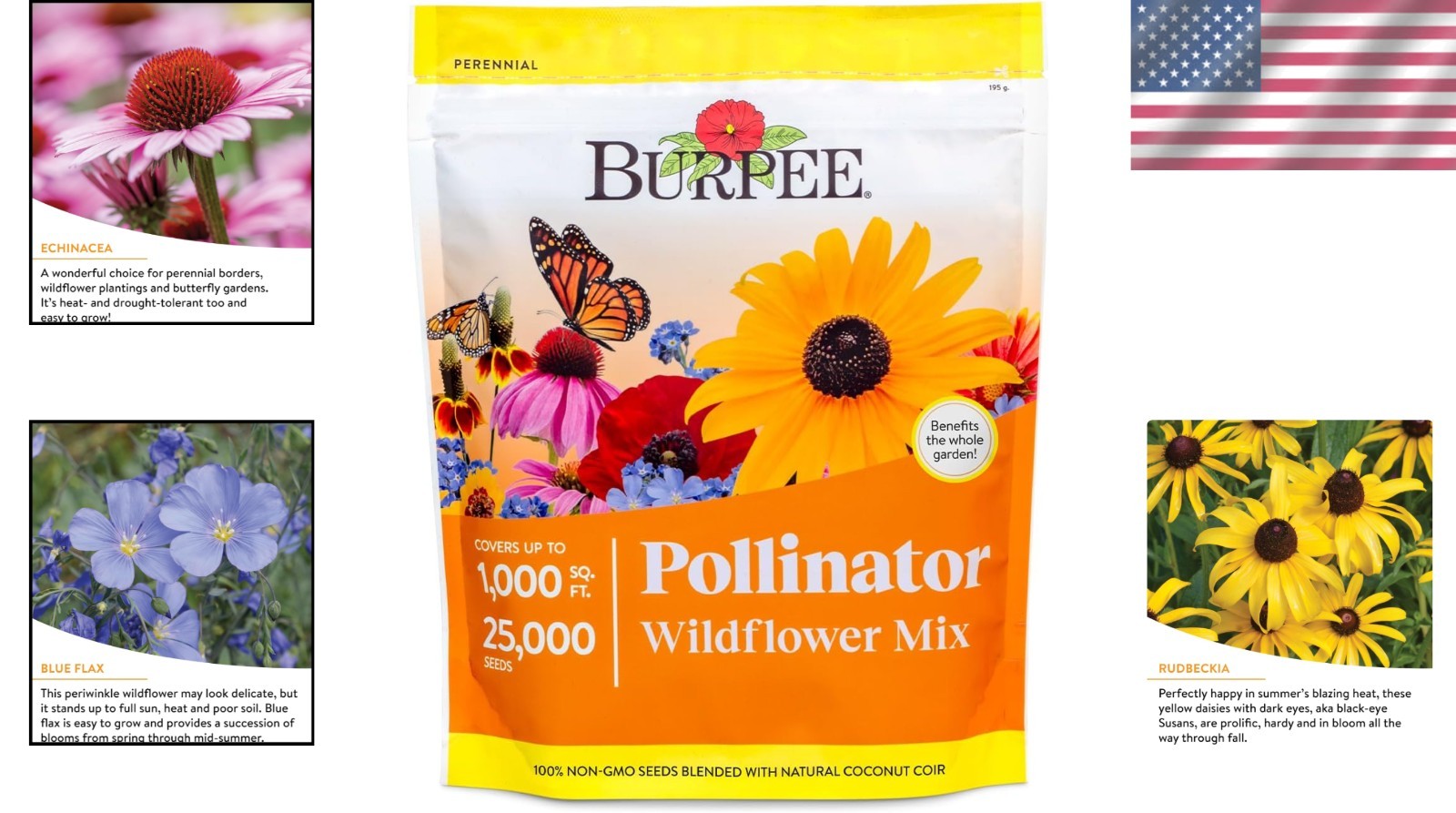 Spring to Fall Blooming – 25,000 Non-GMO Wildflower Seeds for Pollinator Gardens