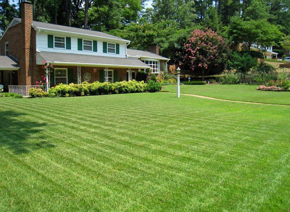 (On Backorder – Ships Feb 2025) SeedRanch Compadre Zoysia Grass Seed – 25 Lbs.
