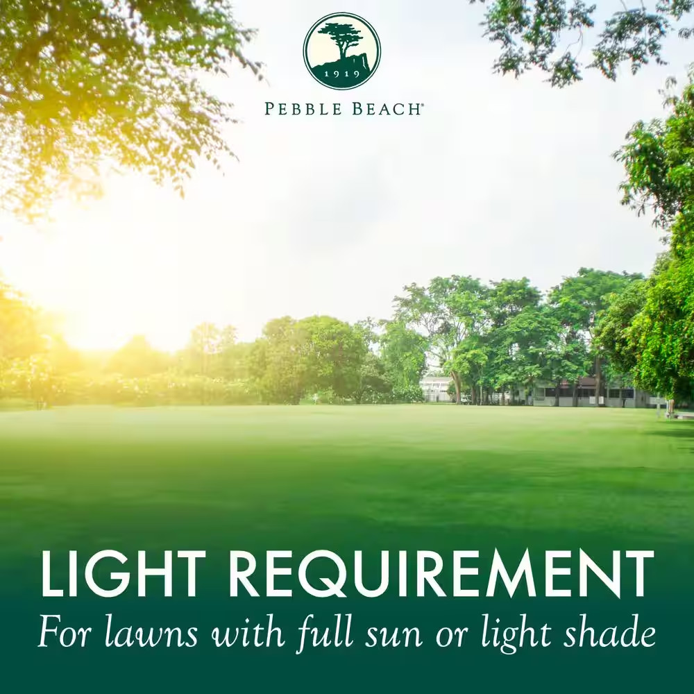 Pebble Beach Perennial Ryegrass Fairway Blend 20 Lb. 4,000 Sq. Ft. Grass Seed