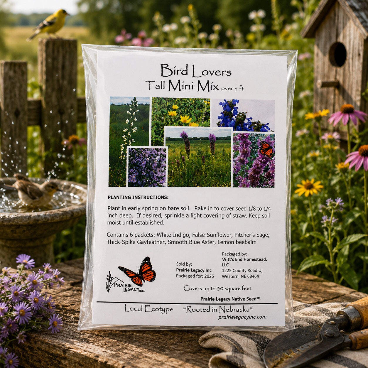 Backyard Bird Wildflower XL Bundle | Tall & Short Mini Mixes and Backyard Bird B