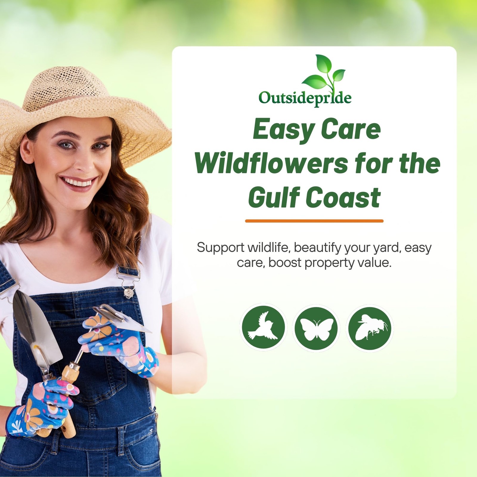 Gulf Coast Wildflower Seed Mix – 1/4 lb Perennial & Annual Wild Flowers for F…