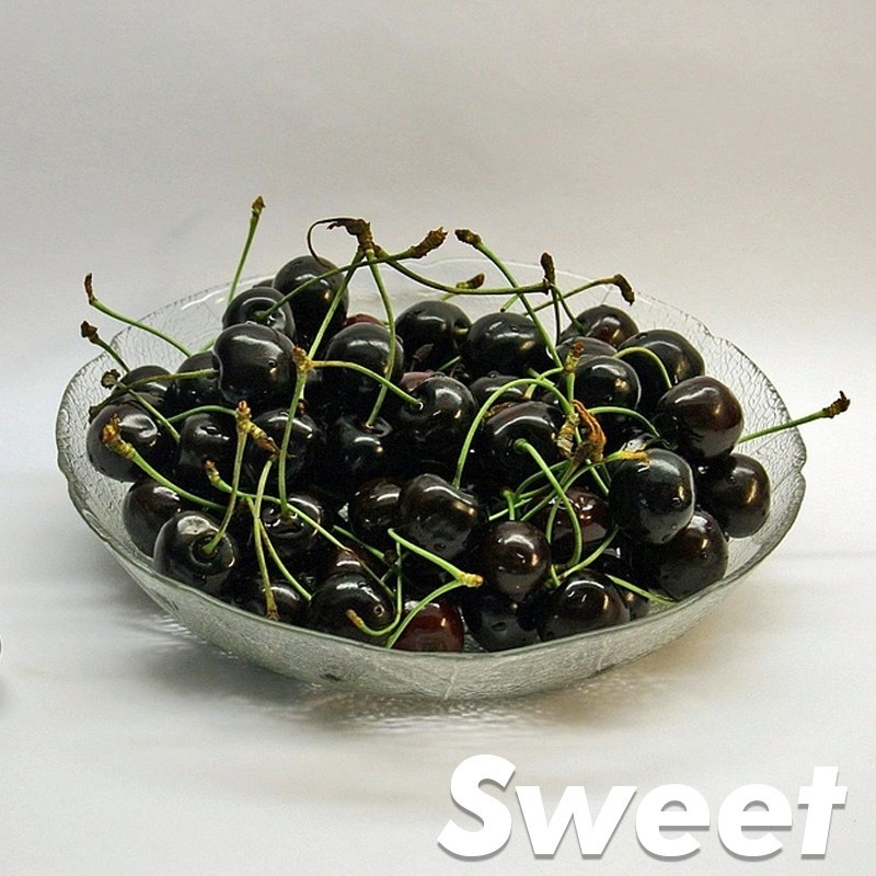 Black Tartarian Cherry Tree Non- Rooted Cuttings 4 COUNT 6″ LONG