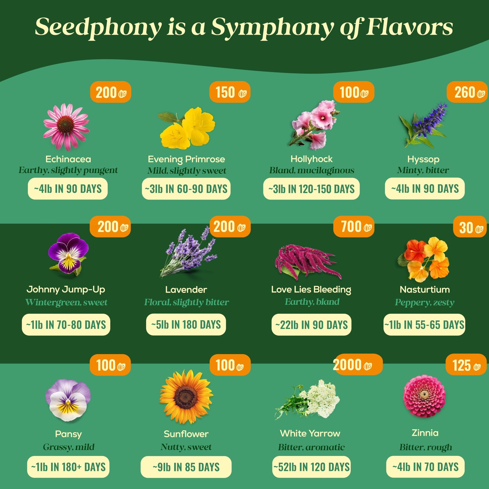 24 Gourmet Culinary Flower Seeds Variety Pack – 7,790+ Non-GMO Heirloom Flowe…