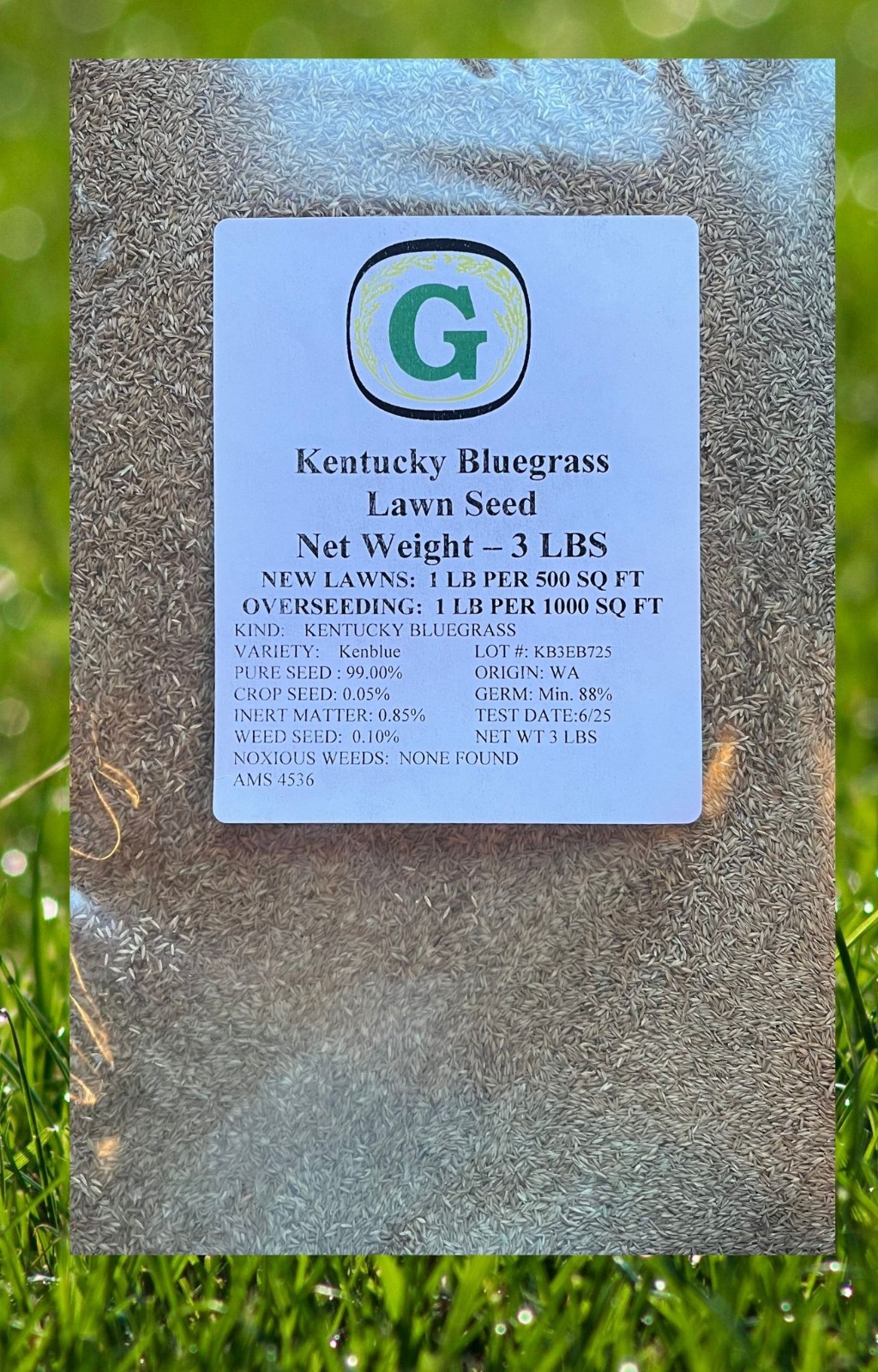 Kentucky Bluegrass Grass Seed – 9 lbs – Direct from Grower – Beautiful Lawn!