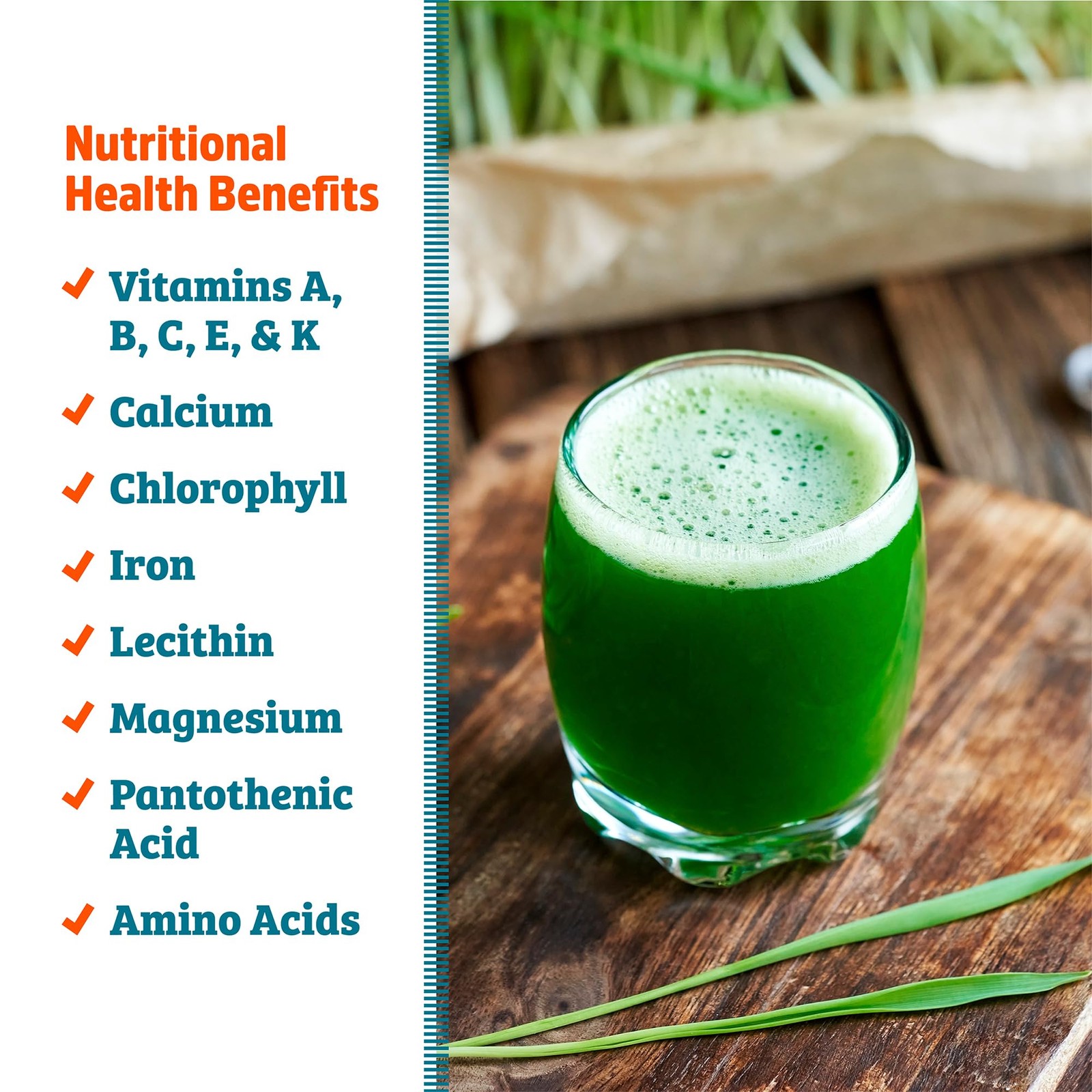 Back to the Roots 100% Organic Wheatgrass Seeds 1 Pound Non GMO Nutrient Dense