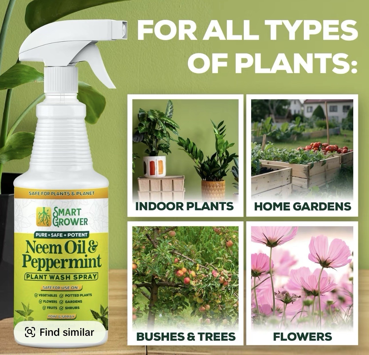 Neem Oil Spray for Plants with Peppermint Oil, Natural Plant Wash Made for In…