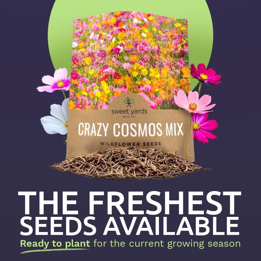 Cosmos Seeds Wildflower Blend 1oz Bulk Packet 5000+ Seeds Spring Summer Planting