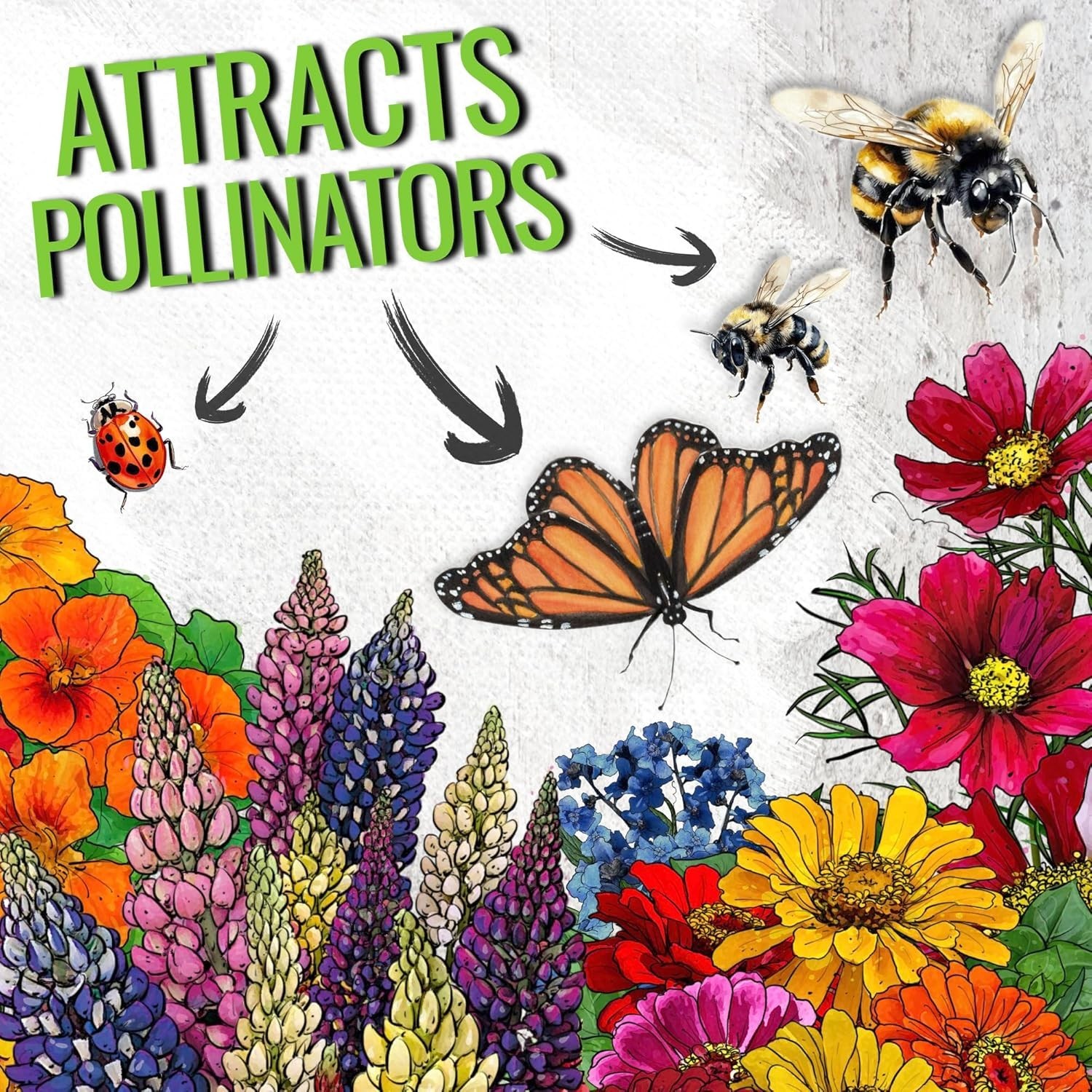 Seed Needs Butterfly Garden Seed Packet Variety Collection – 4 Unique Varieties