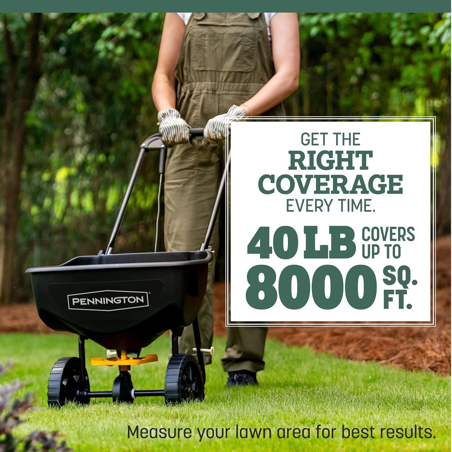 Kentucky 31 Fescue 40 LB Tall Fescue Grass Seed, Grass Seeds for Lawn
