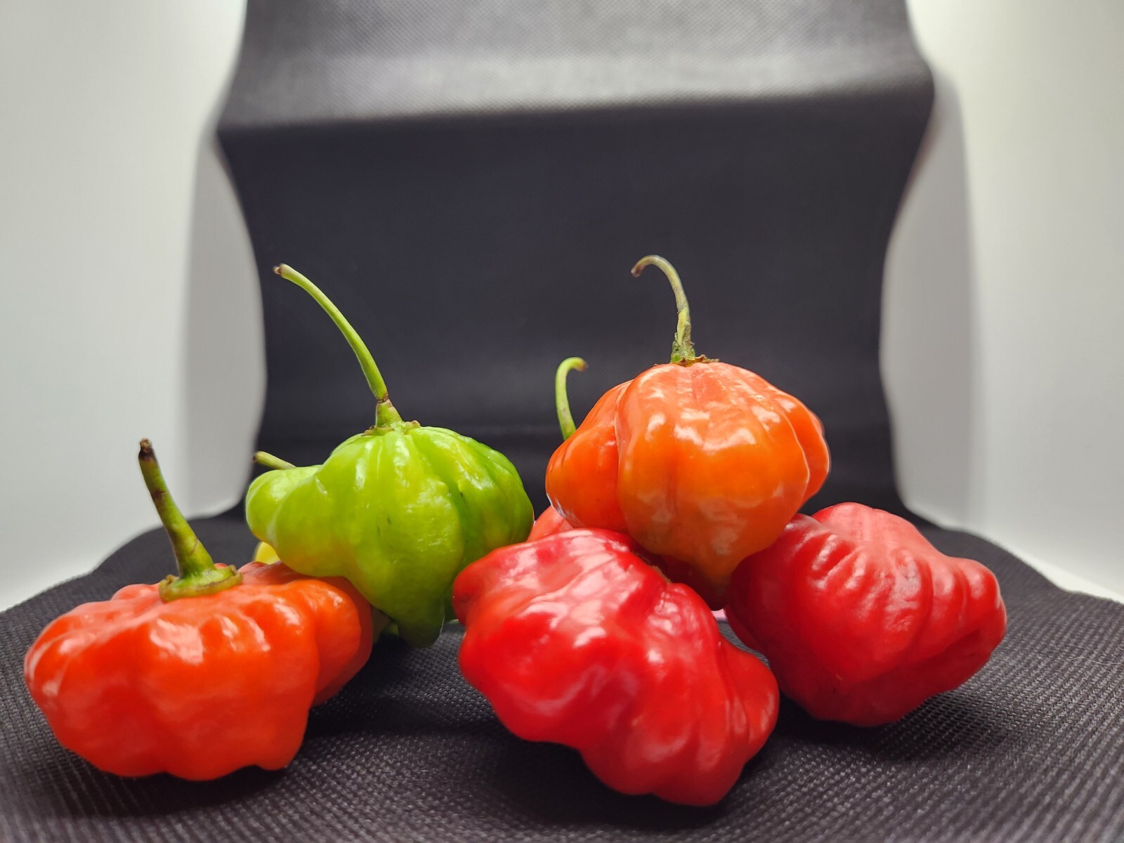 (Seeds) Aji Dulce Grandes de Puerto Rico, 100% Organic, Sofrito, Sweet Pepper