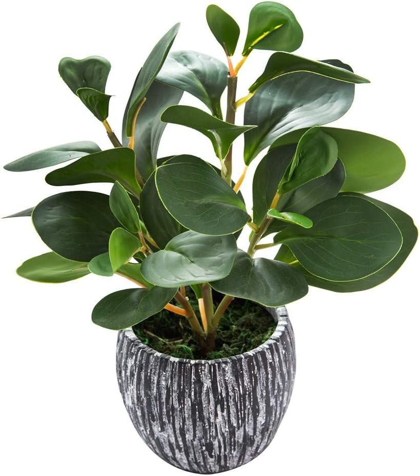 Evergreen Plastic Fiddle Leaf Fig Plant for Aesthetic Room Decor and Accessories