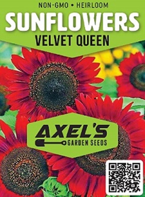 Bulk Sunflower Seeds Mix – Heirloom Non-Gmo Flower Seeds for Home Garden