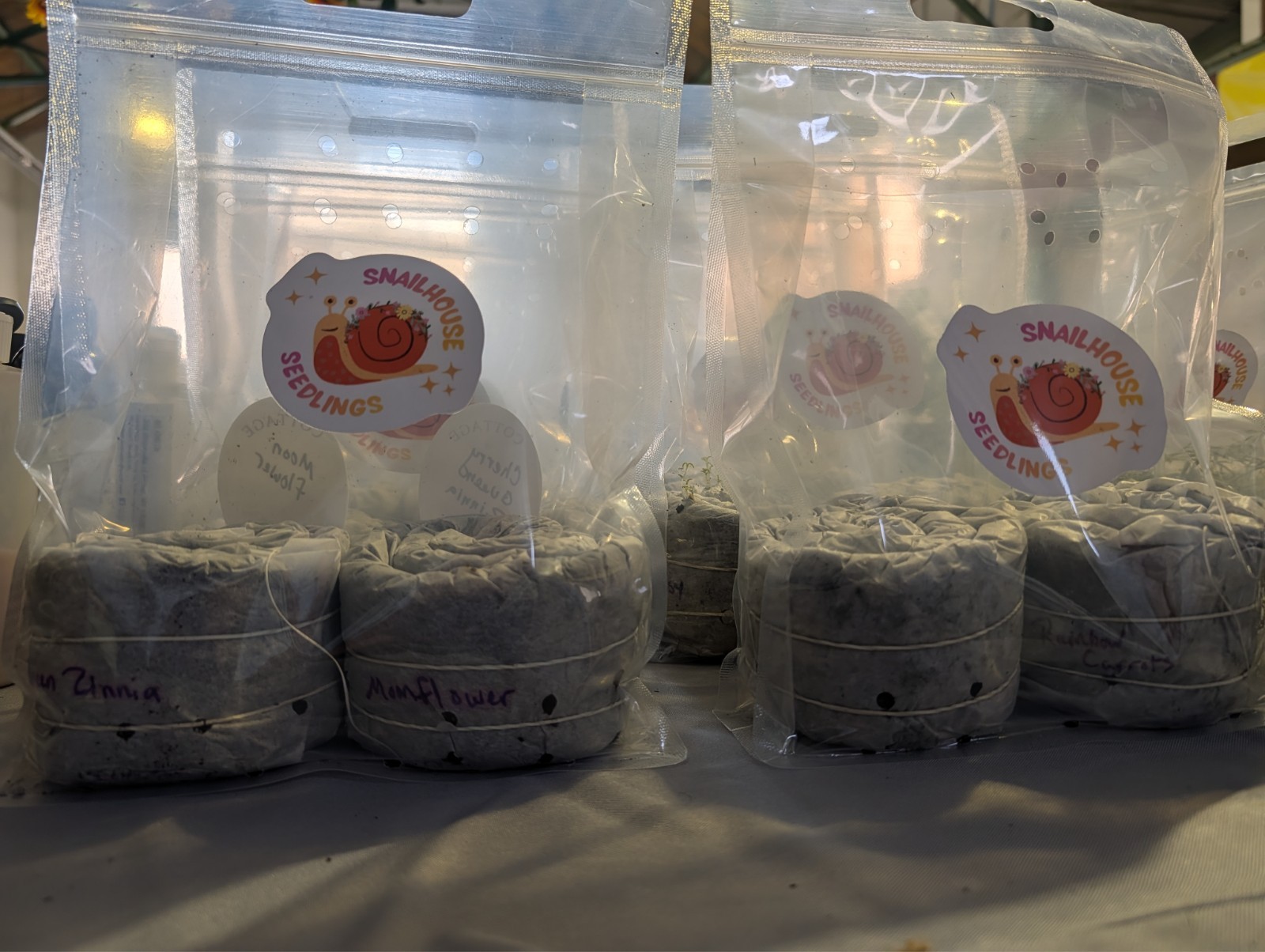 Red Corn Poppy – SEED SNAIL- Packed with seeds and ready to grow!