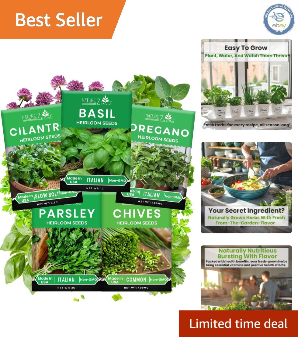5 Herb Seeds Kit: Oregano, Basil, Cilantro for Indoor/Outdoor Gardens