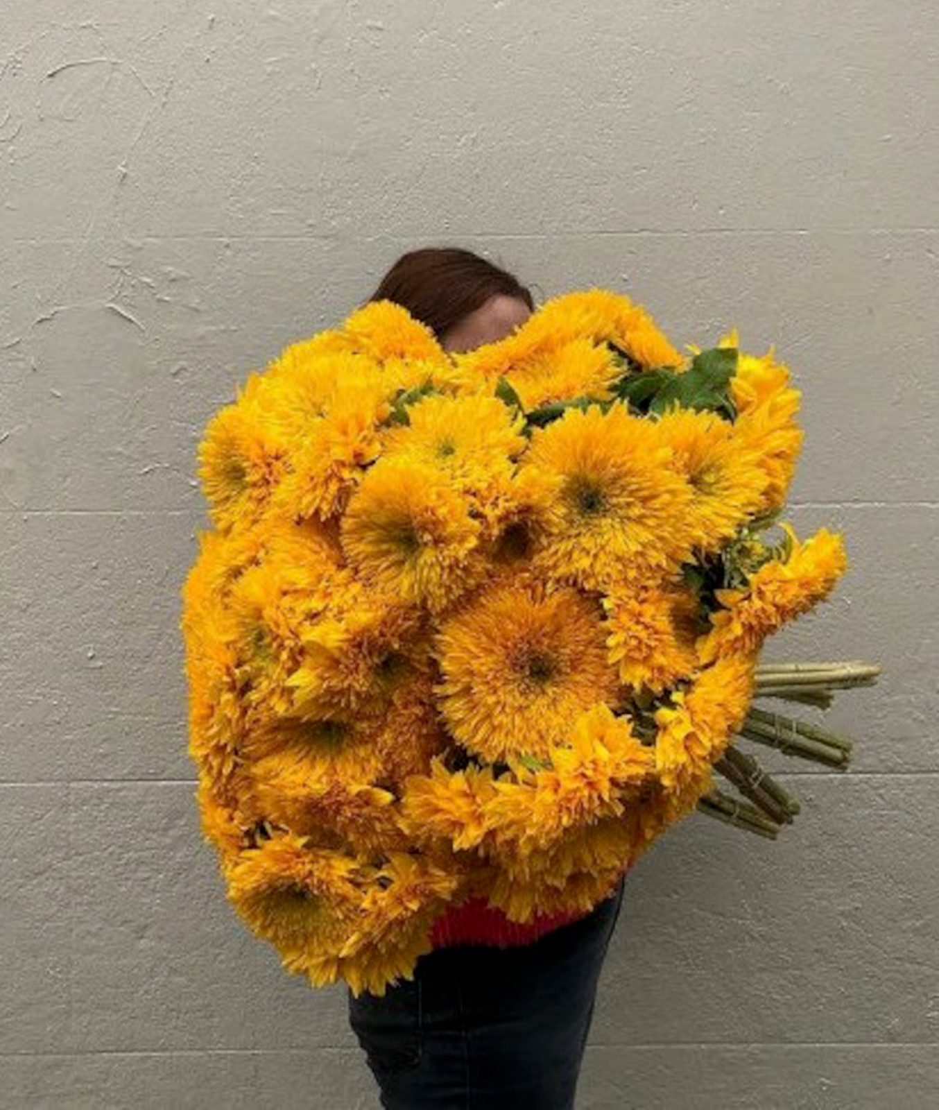 Double Tall Sungold Giant SunFlower 30 Fresh seeds Harvested in 2025~NonGMO