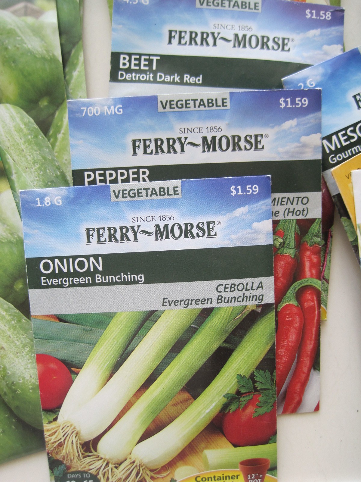 Large Lot 51 Sealed but Expired Vegetable Seeds Beans Greens Herbs Tomatoes ++
