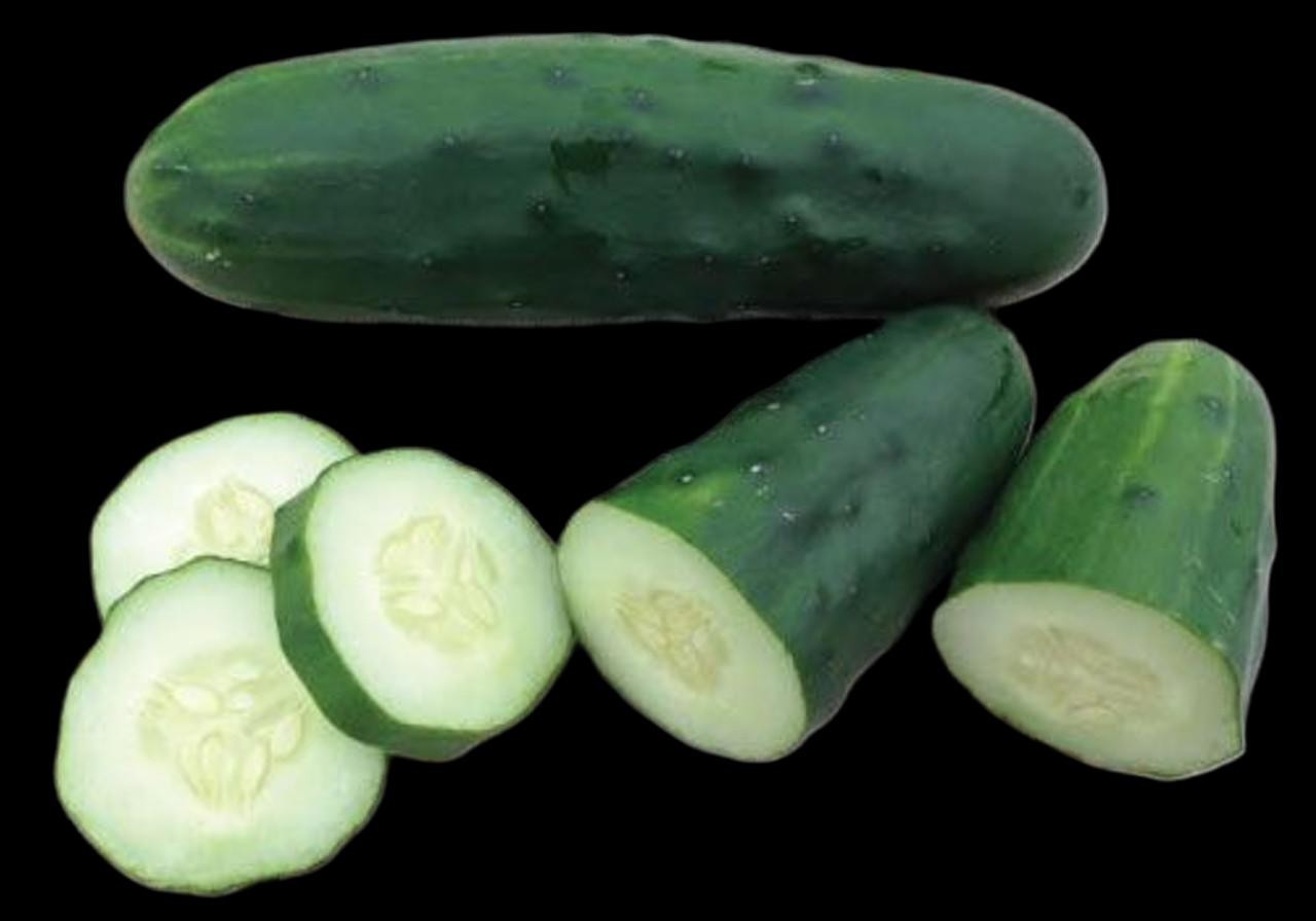 Marketmore 76 Cucumber (slicer) Seeds Free Shipping!