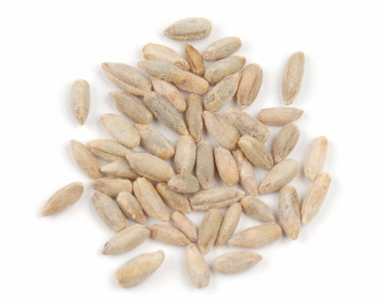25 LBS Winter Rye Seed – Cover Crop, Food Plot Deer, Wildlife, Garden Cover Crop