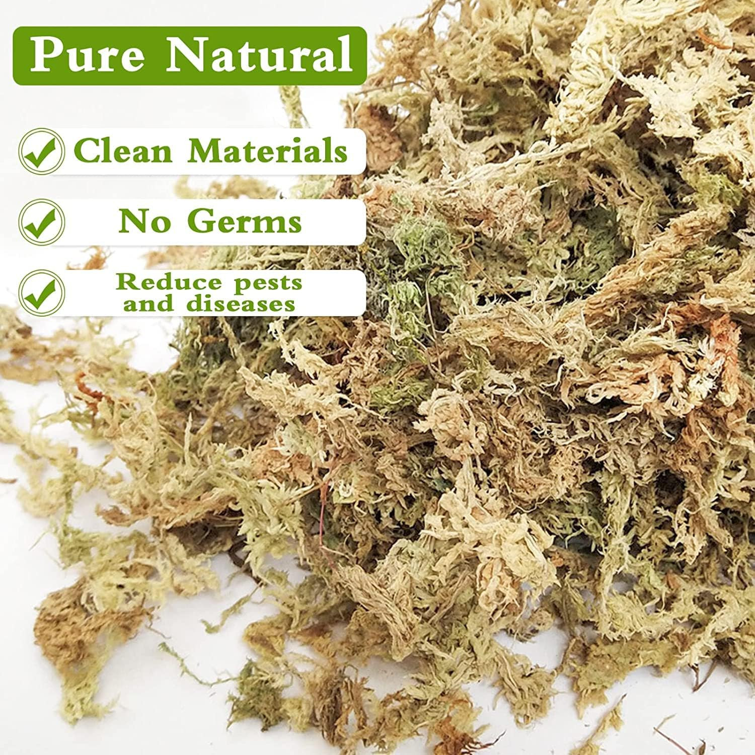 4 Qt Sphagnum Moss for Plants Reptiles Orchid Succulents