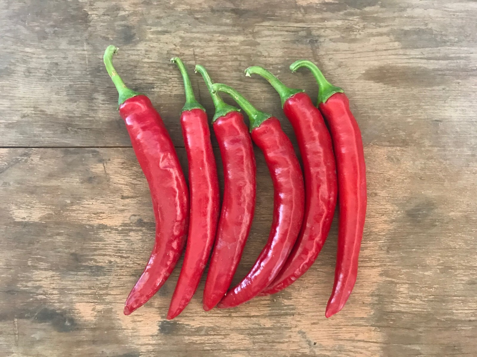MILD HOT GIANT THAI CHILI PEPPER FRESH SEEDS (40seeds)