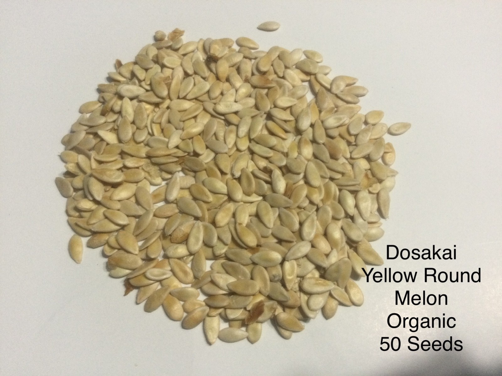 Seeds(Organic) All type, Please See Description