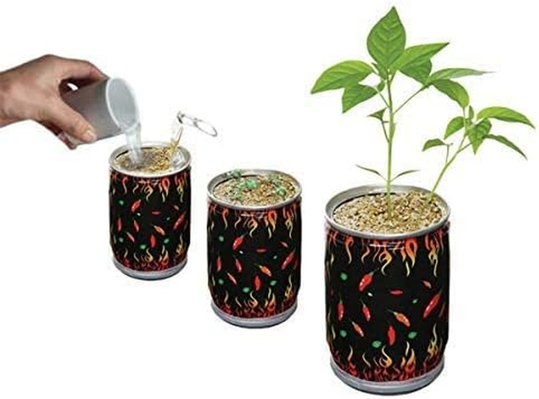 Super Hot Carolina Reaper Plant Kit