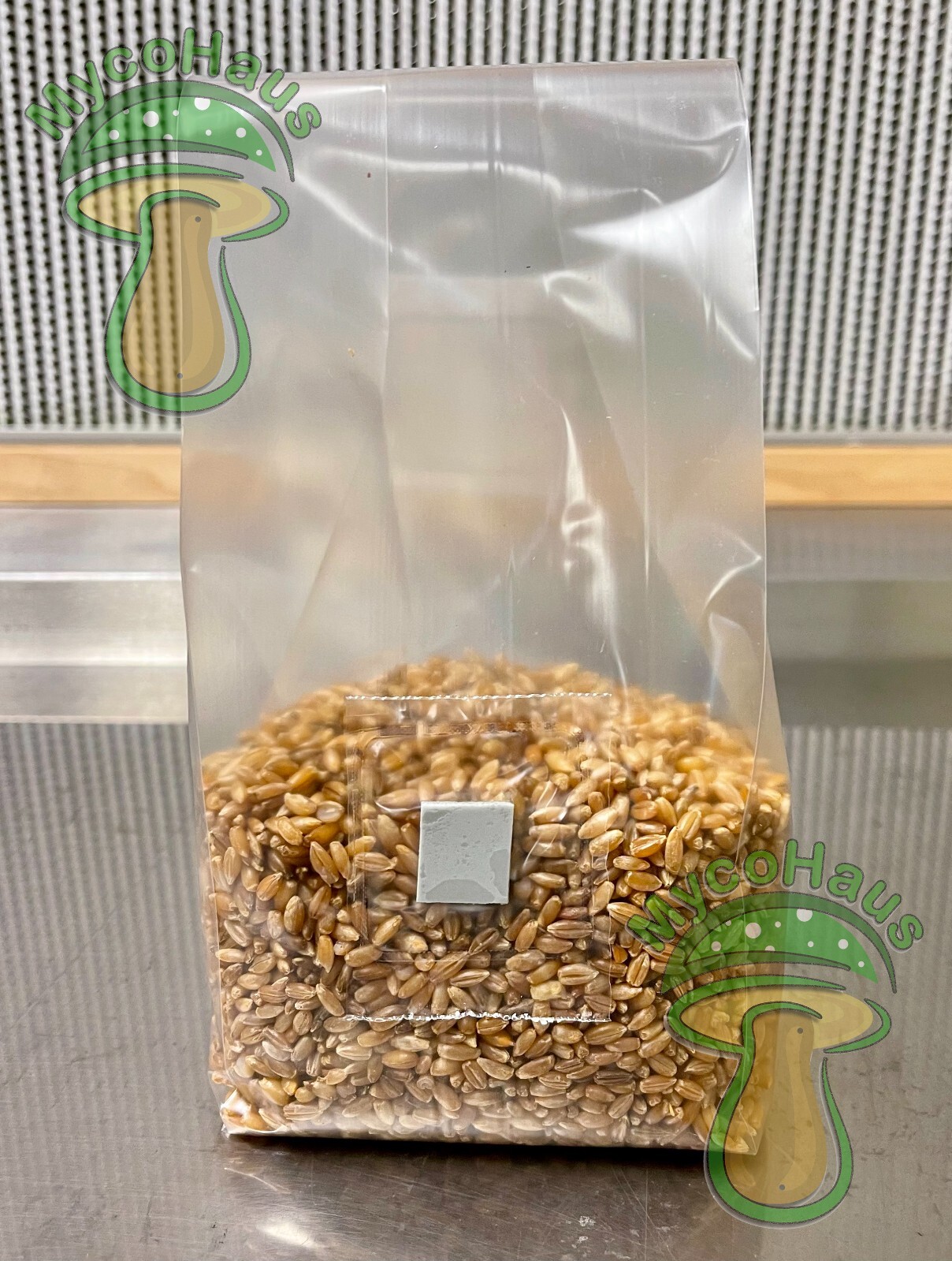one pound sterilized rye grain bags with injection port mushroom substrate