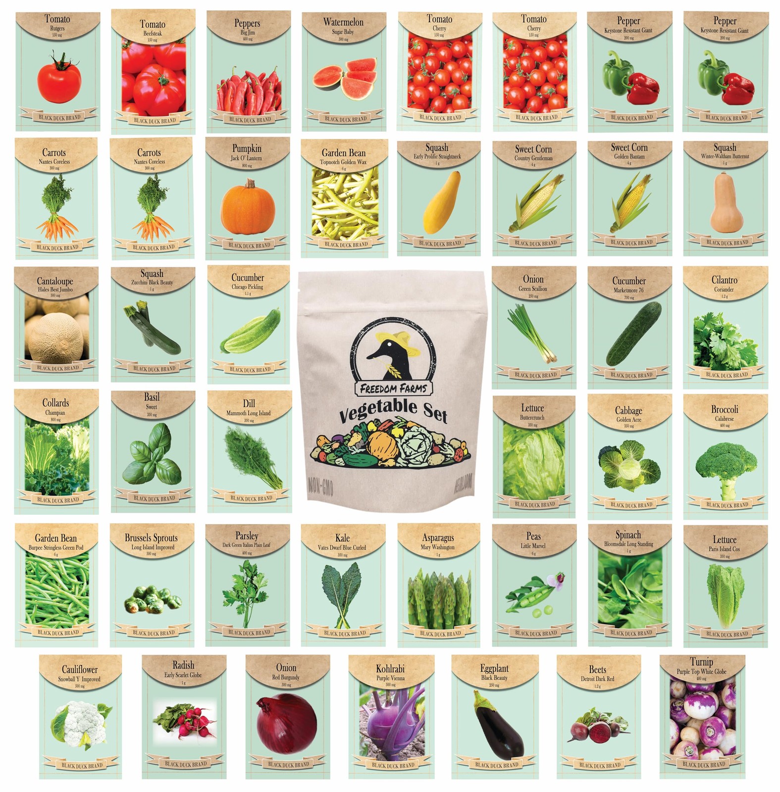 Set of 43 Assorted Vegetable & Herb Seed Packets – Over 10,000 Seeds! – Inclu…