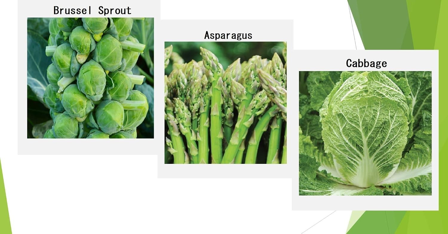Winter Vegetable Seeds for Planting Organic Non-GMO Heirloom Seeds 12 Varieti…