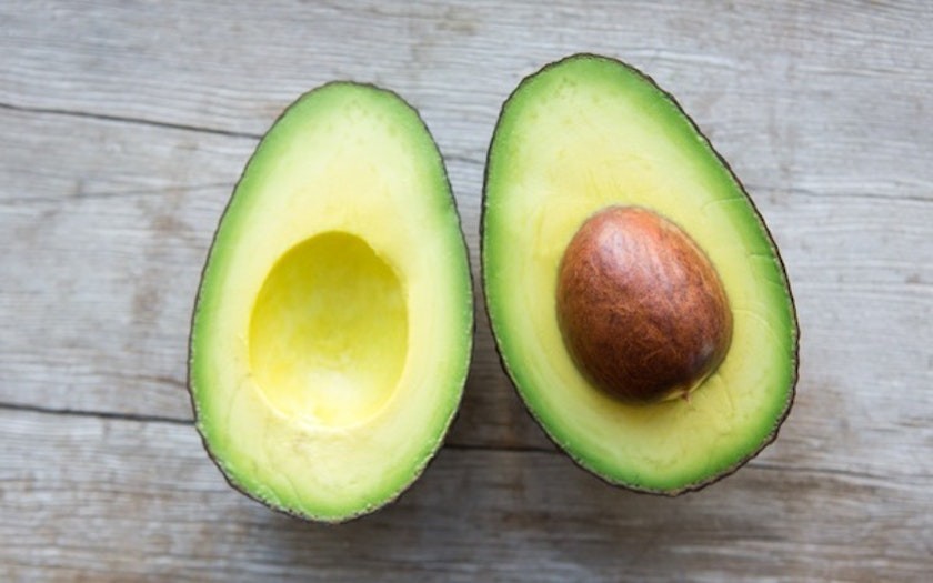 Grafted Lamb Hass Avocado (Persea americana) Live Fruit Tree (10in-2ft)