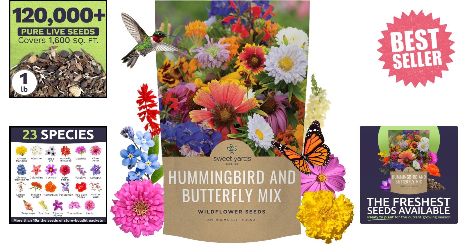 Bulk Wildflower Seeds Butterfly & Hummingbird Mix – 1 Pound Bag for Gardeners