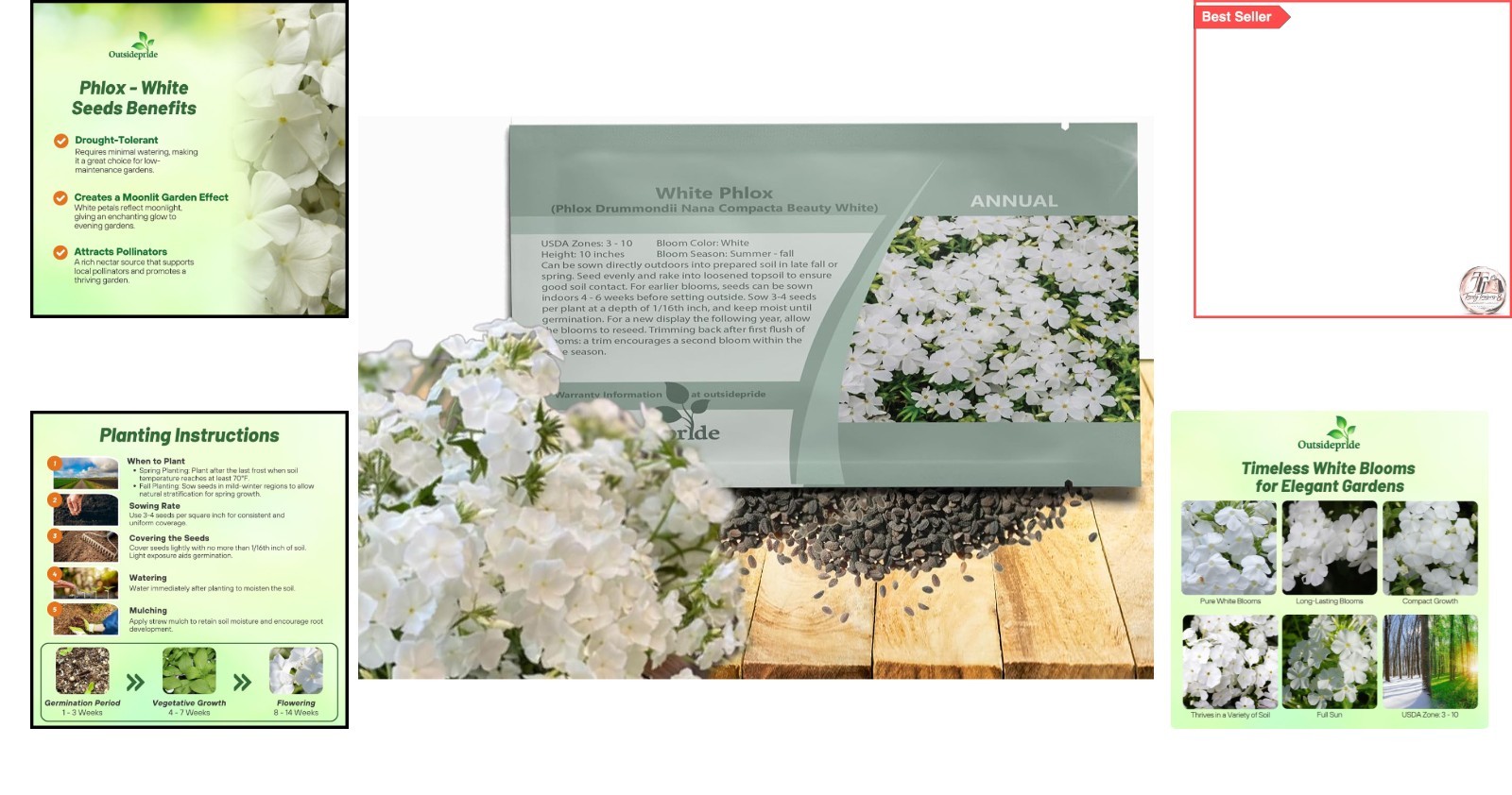 Vibrant White Phlox Seeds – Long Blooming, Self-Seeding, Pollinator-Friendly