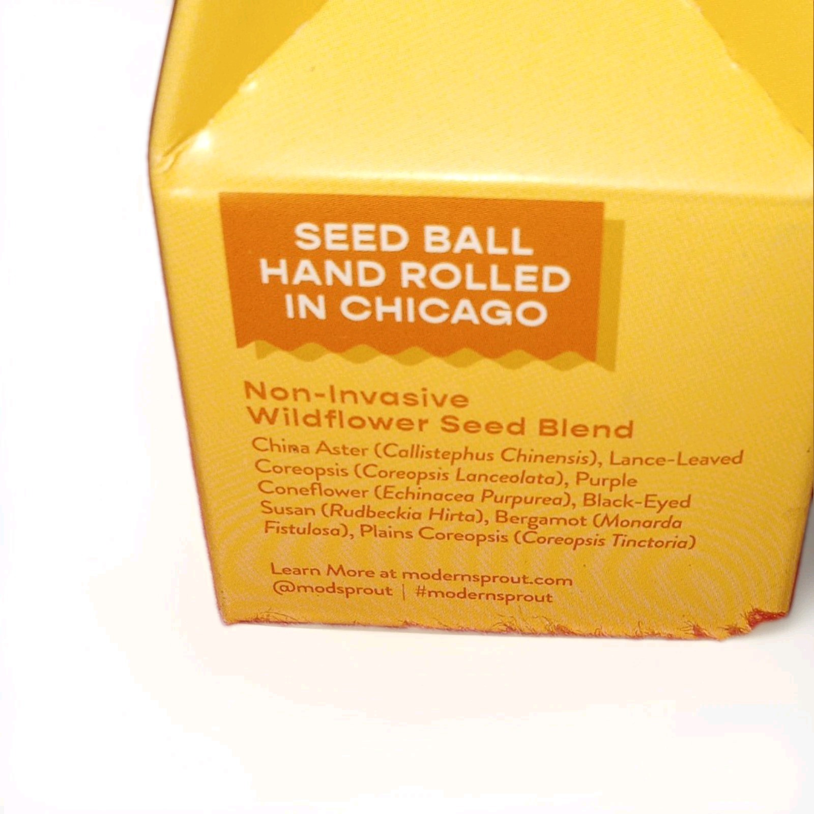 Modern Sprout Non-Invasive Wildflower Seed Ball, Indoor/Outdoor, Medium Sun
