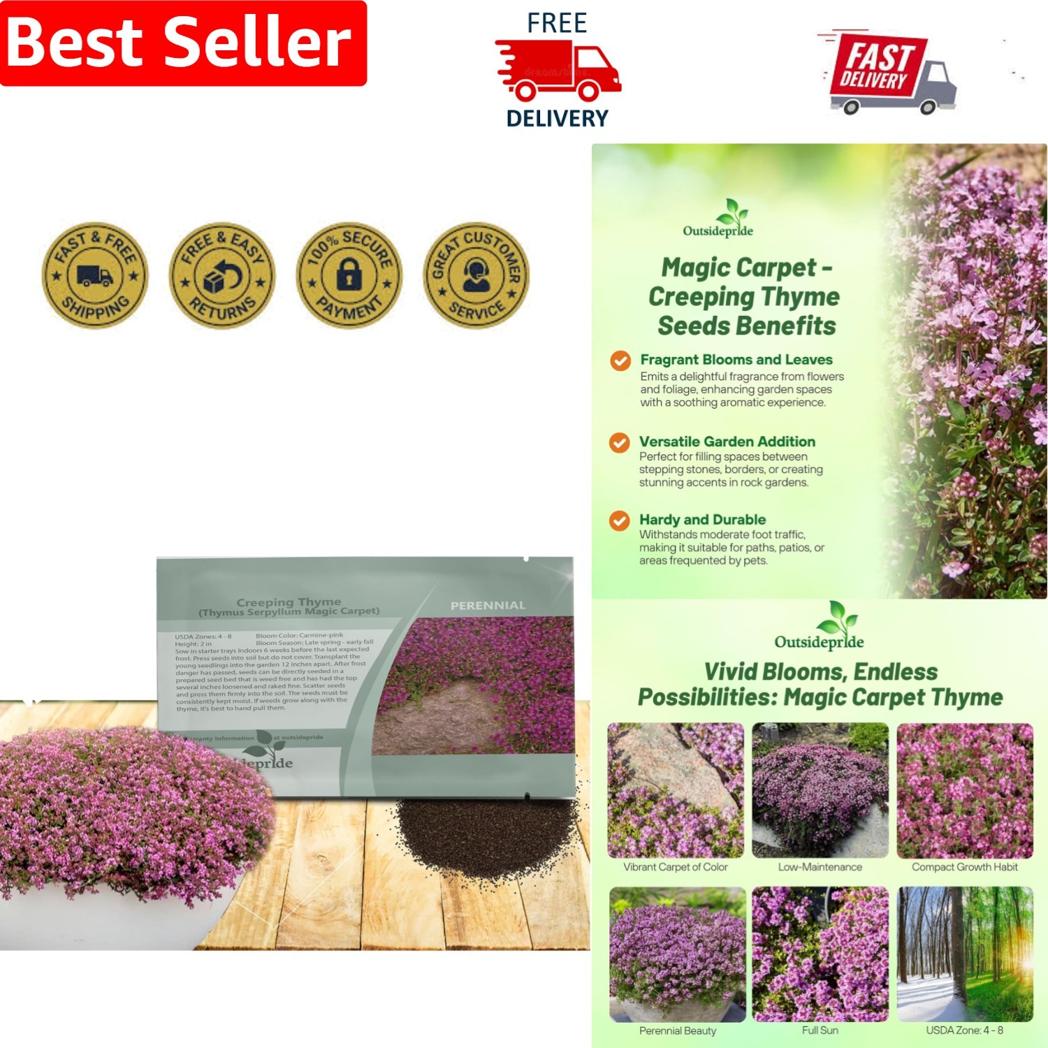 Magic Carpet Creeping Thyme Seeds – 500 PCS, Pink Flowers for Pollinator Gardens