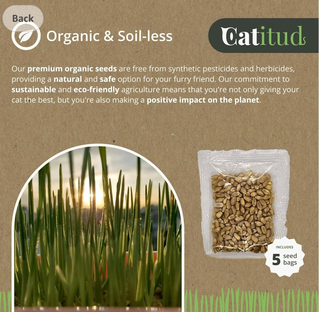 CATITUD cat Grass KIT Includes Pot with Non-Slip Base and 2 Packets of Seeds