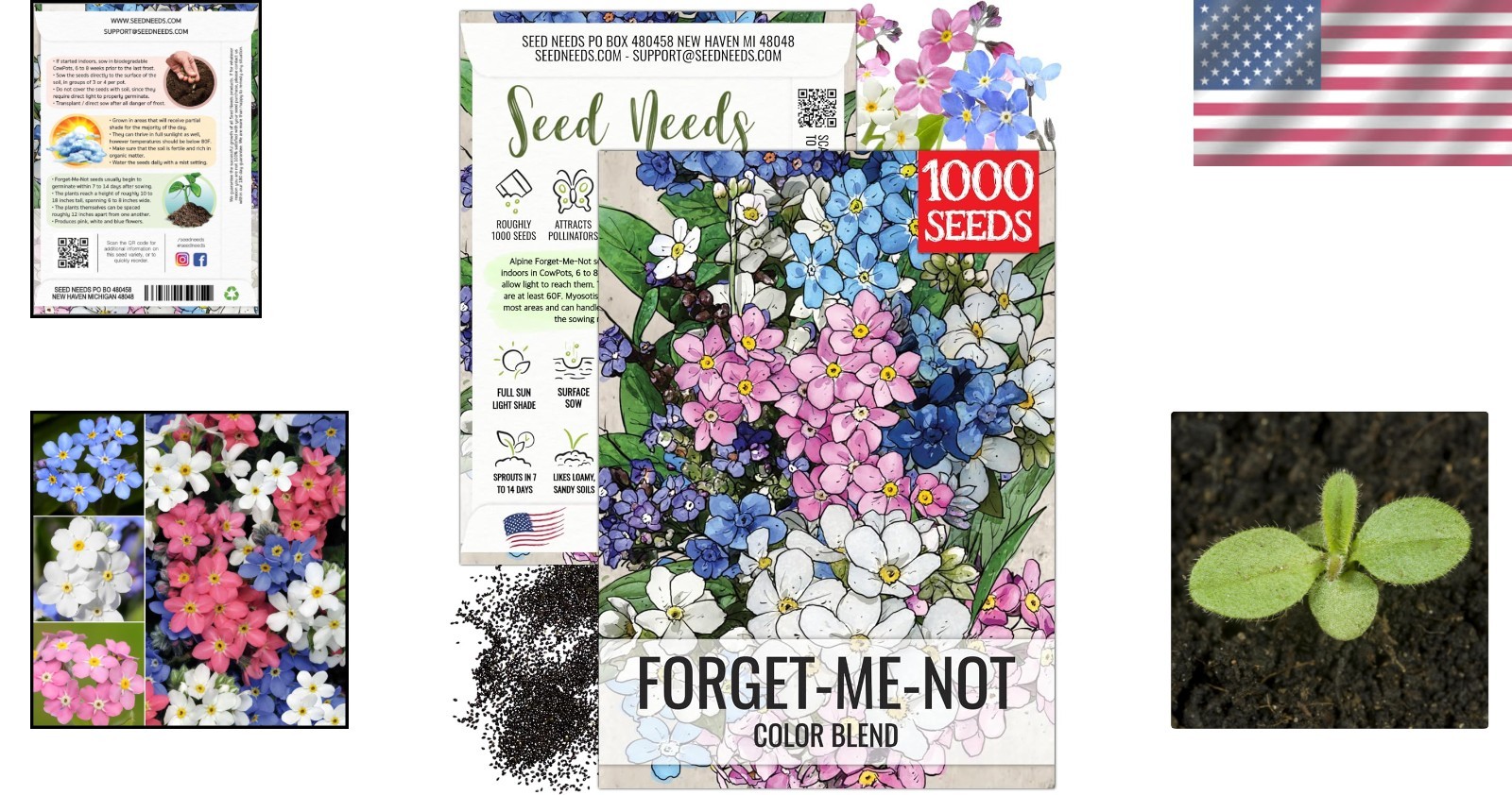 Mixed Forget Me Not Seeds – Heirloom Wildflower Blend for Butterfly Gardens
