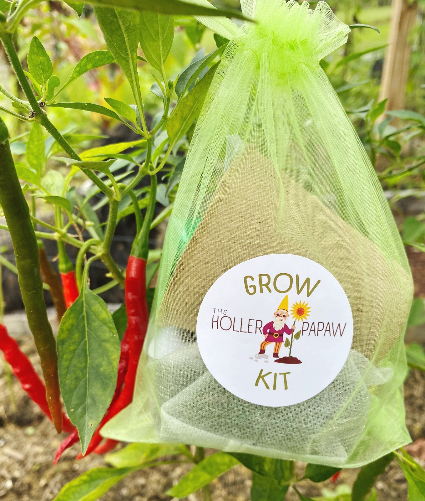Indoor Pepper Grow Kit Gift Set – Heirloom (23 varieties) – Free Shipping!