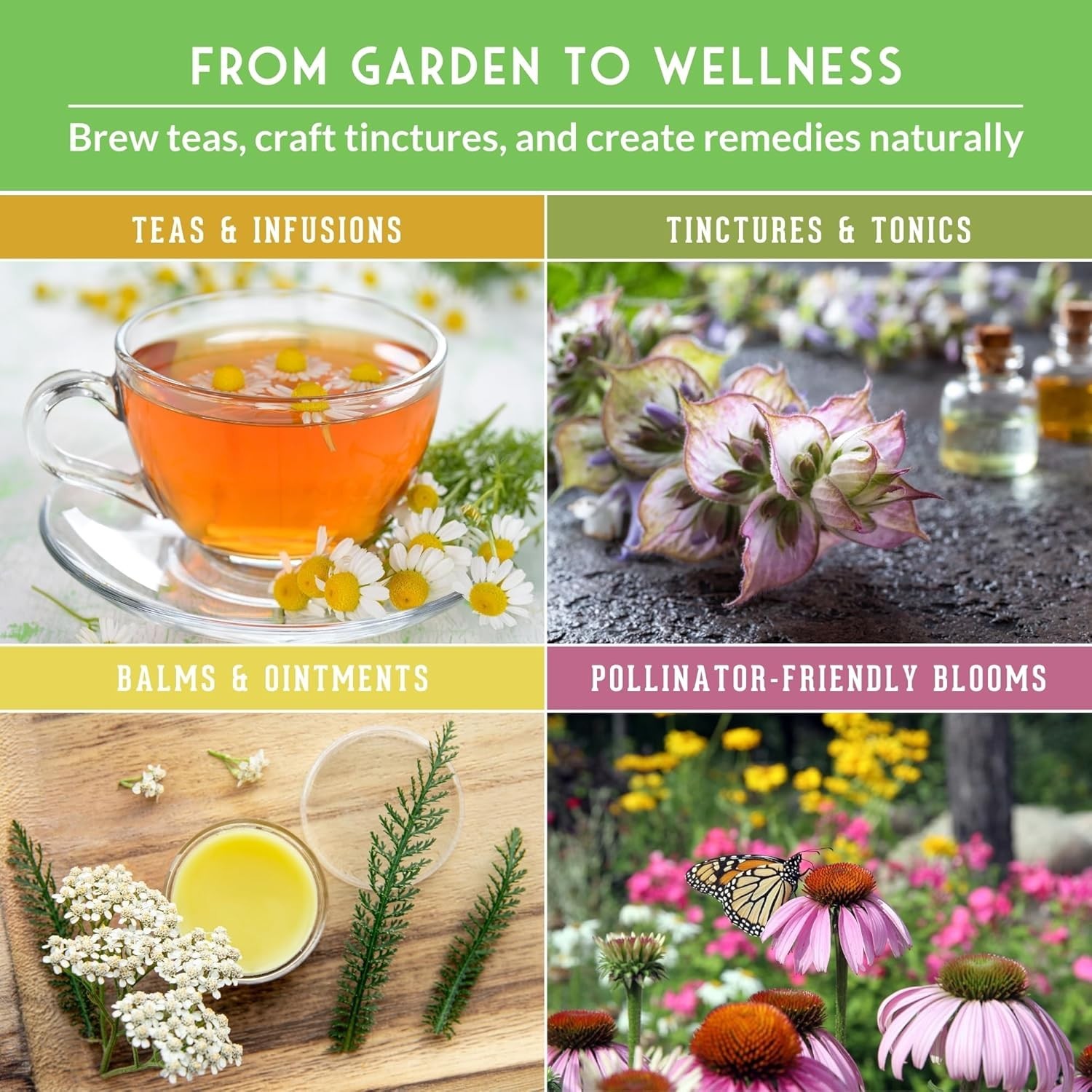Ultimate Medicinal Herbs Collection – 36 Variety Pack of Herb Seeds for Growi…