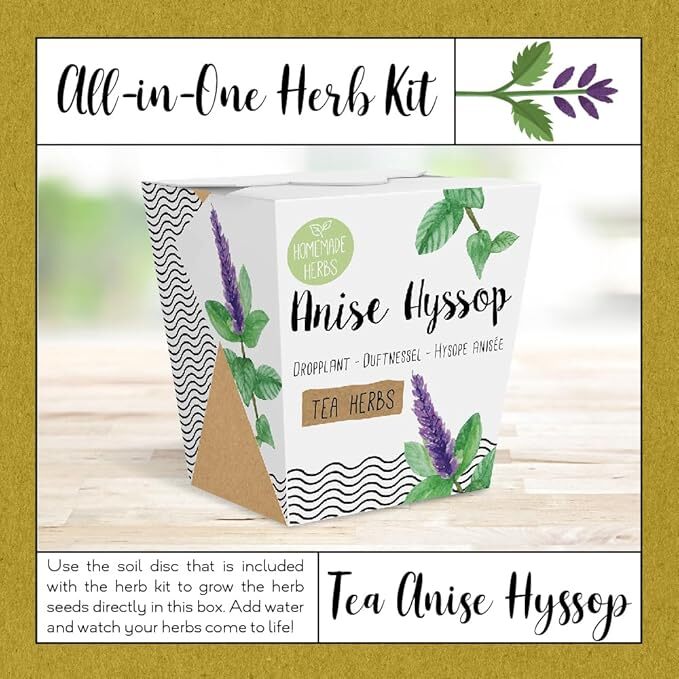 Homemade Herb Kit – All-in-One Anise Hyssop Growing Kit – Indoor Garden Planter