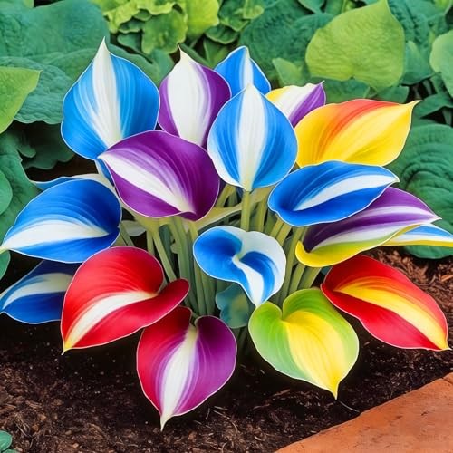 Hosta Seeds for Planting, 310+pcs Rare Perennial Hosta Flower Seeds Plants,