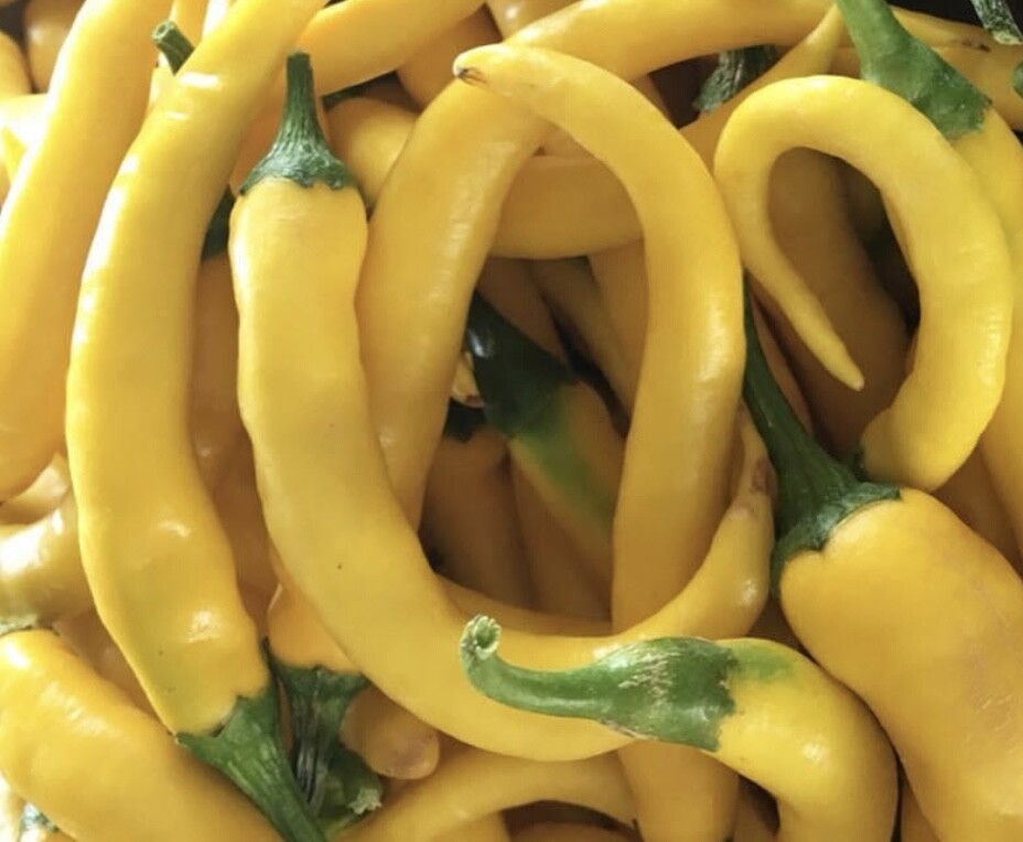 Cayenne Pepper Collection | Hot | Seeds