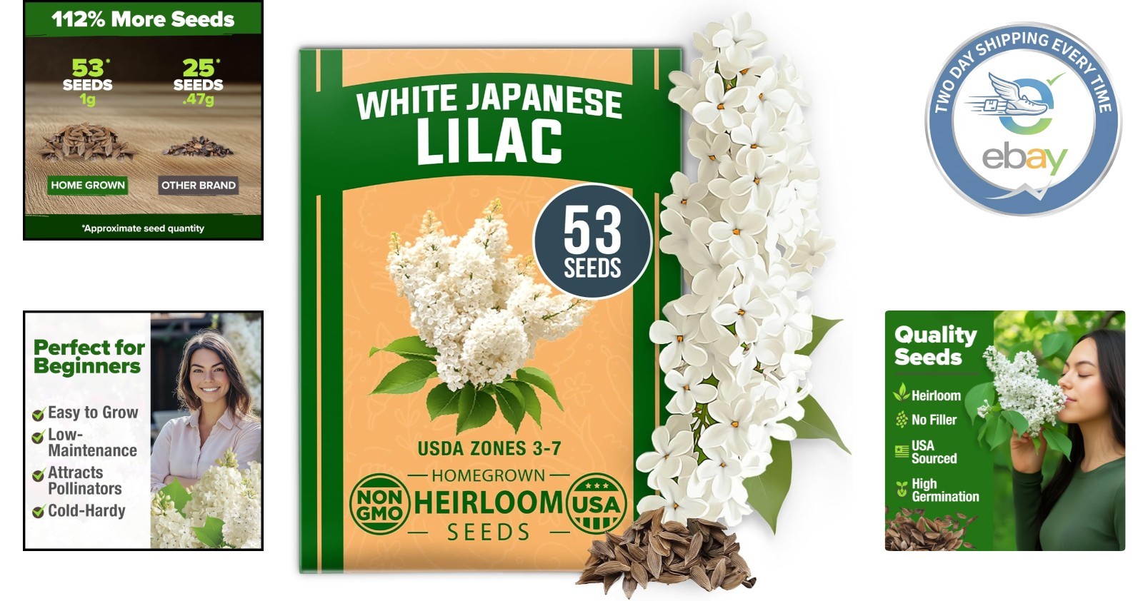 Fragrant White Lilac Flower Seeds – 53 Non-GMO Heirloom Seeds for Garden Bliss